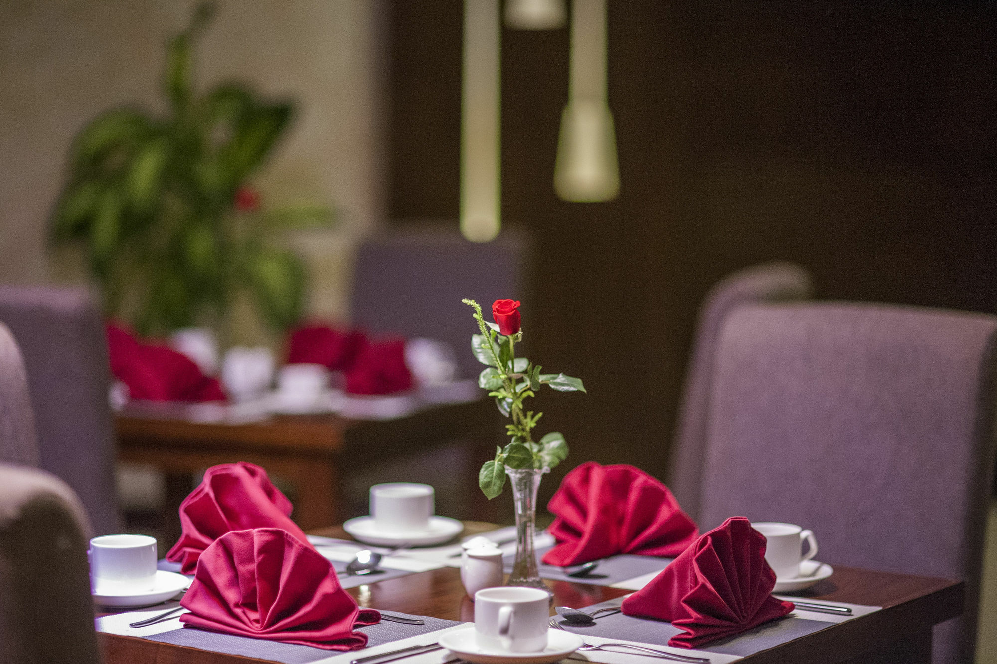 มวง ตานห์ ควง ตริ โฮเต็ล Hotel Quang Tri ภายนอก รูปภาพ
